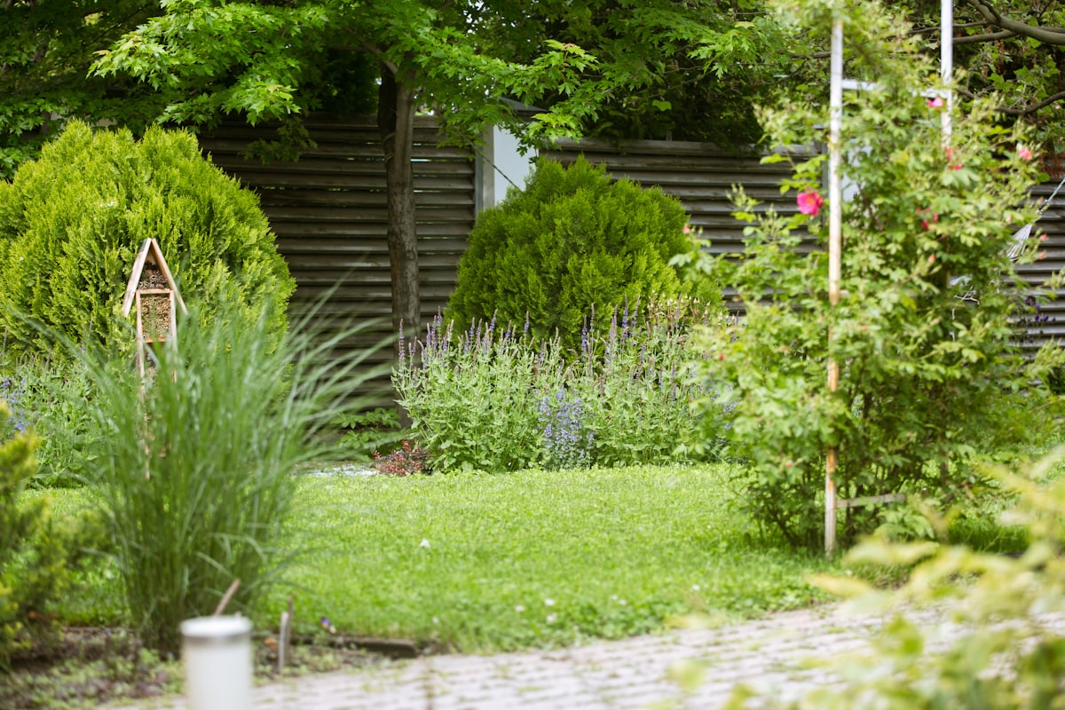 Gepflegte Außenanlage mit Wegen, Terrasse und Bepflanzung